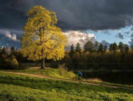 Станислав Саблин