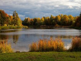 Влад Сорокин