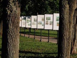 Алексей Бабук