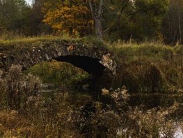 Рина Рындина